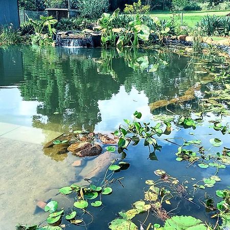 Deo Resta Guest Lodge Piet Retief Εξωτερικό φωτογραφία